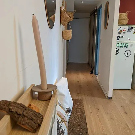 Petit-coeur Charmant En Centre Ville Apartment Annecy