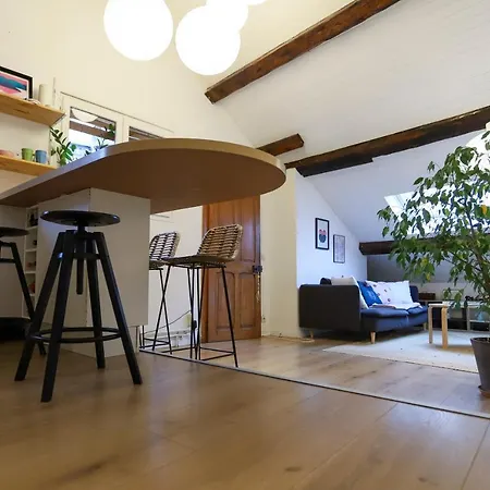Petit-coeur Charmant En Centre Ville Apartment Annecy