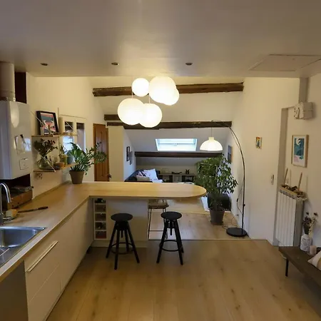 Petit-coeur Charmant En Centre Ville Apartment Annecy