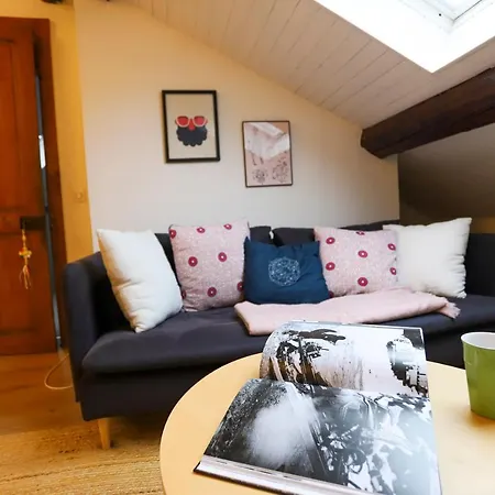 Petit-coeur Charmant En Centre Ville Apartment *