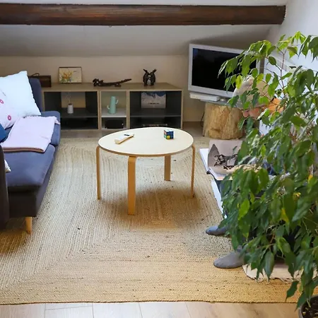 Apartment Petit-coeur Charmant En Centre Ville