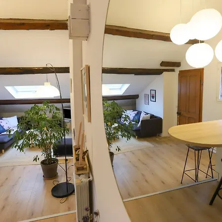 Apartment Petit-coeur Charmant En Centre Ville Annecy