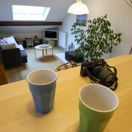 Petit-coeur Charmant En Centre Ville Apartment *
